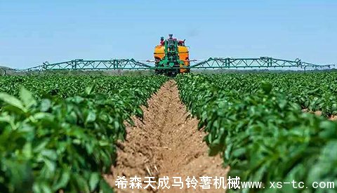 “希森”的民族品牌成長之路